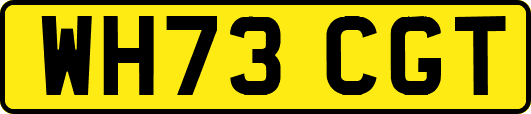 WH73CGT