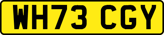 WH73CGY