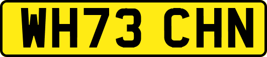 WH73CHN