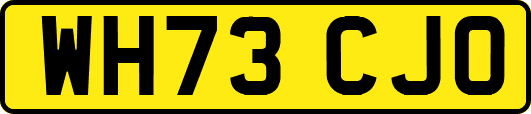 WH73CJO