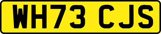 WH73CJS