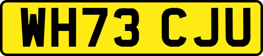 WH73CJU