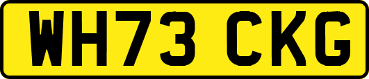 WH73CKG