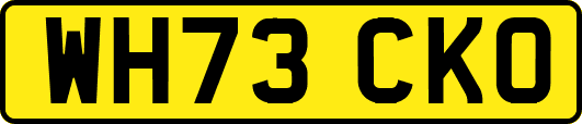 WH73CKO