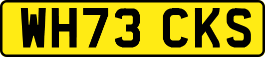 WH73CKS