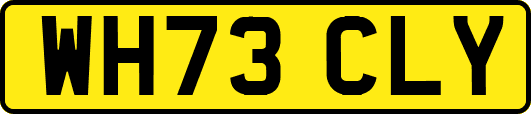 WH73CLY