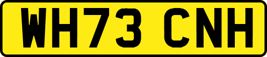 WH73CNH