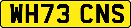 WH73CNS