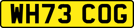 WH73COG
