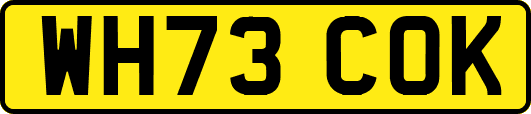 WH73COK