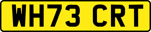 WH73CRT