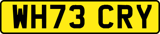 WH73CRY