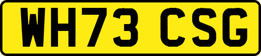 WH73CSG