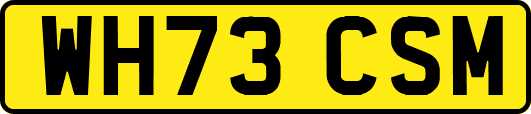WH73CSM