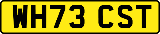 WH73CST