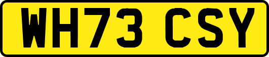 WH73CSY