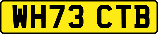 WH73CTB