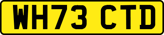 WH73CTD