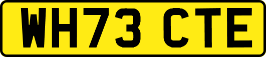 WH73CTE