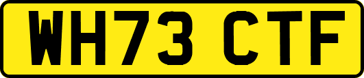 WH73CTF