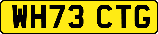WH73CTG