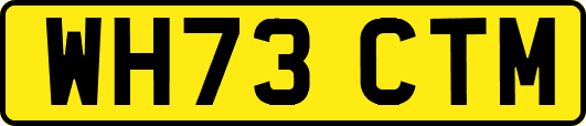 WH73CTM