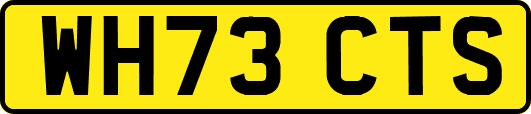WH73CTS