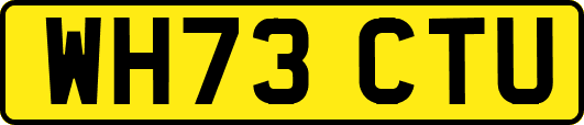 WH73CTU