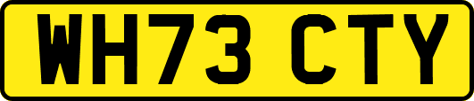 WH73CTY