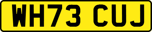 WH73CUJ
