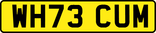 WH73CUM