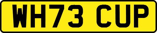 WH73CUP
