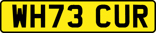 WH73CUR