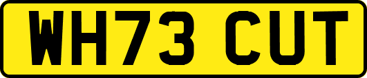 WH73CUT