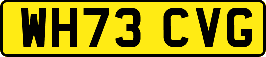 WH73CVG