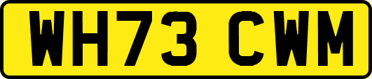 WH73CWM