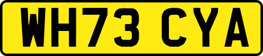 WH73CYA