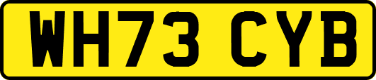 WH73CYB