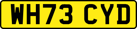 WH73CYD