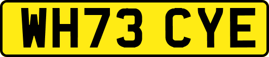 WH73CYE
