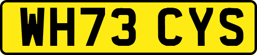 WH73CYS