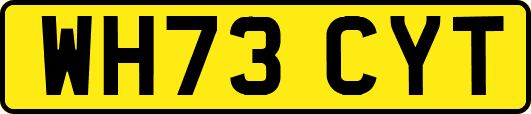 WH73CYT