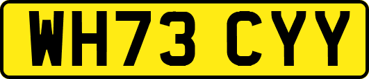 WH73CYY