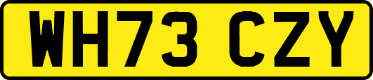 WH73CZY