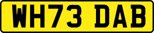 WH73DAB