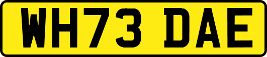 WH73DAE