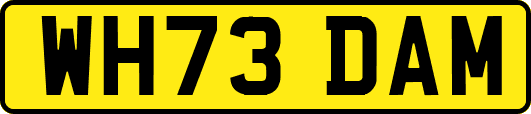WH73DAM