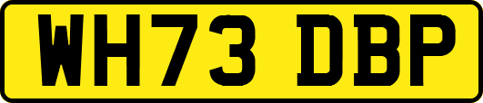 WH73DBP