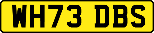WH73DBS