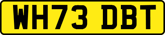 WH73DBT